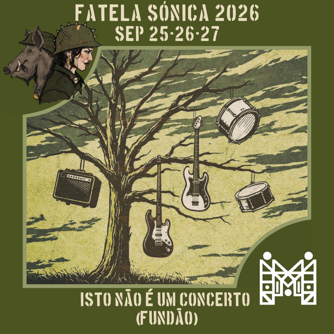 Isto não é um concerto